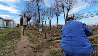 După 40 de ani: grădinile din Ștrand sunt desființate. Pentru a face loc bicicletelor