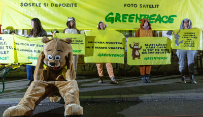 Peste 2.000 de persoane au protestat în toată țara: „Pădurea noastră nu e marfa voastră”