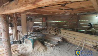 Poliția a descoperit un depozit ilegal de lemne în Sadu