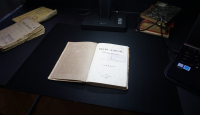 Primul muzeu digital al romanului românesc de secol XIX. Literatura nu este rurală, este chiar cosmopolită