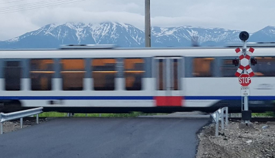Trenul personal Sibiu - București a lovit patru cai și este blocat