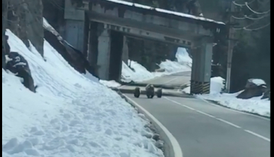 VIDEO-Ursoaică însoțită de doi pui, filmată pe Transfăgărășan