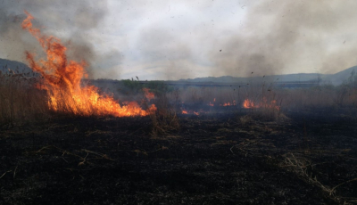 Incendiu de vegetație pe DN1. A ars peste un hectar de vegetație uscată și resturi vegetale