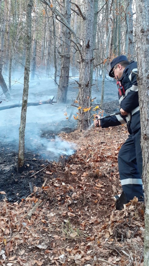 Focul de la Măgura a fost stins. Pompierii monitorizează peste noapte zona