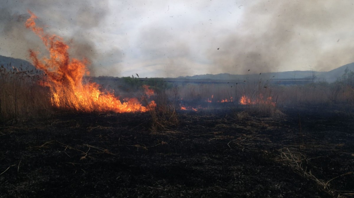Incendiu de vegetație pe DN1. A ars peste un hectar de vegetație uscată și resturi vegetale