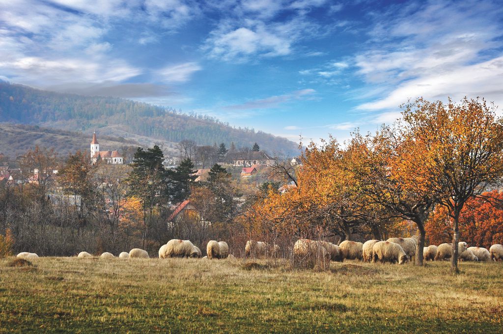 Mărginimea Sibiului premiată la Târgul de Turism al României