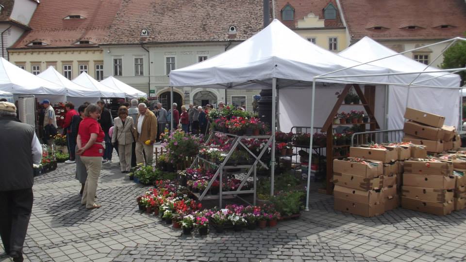 Festivalul Grădinilor revine în centrul orașului