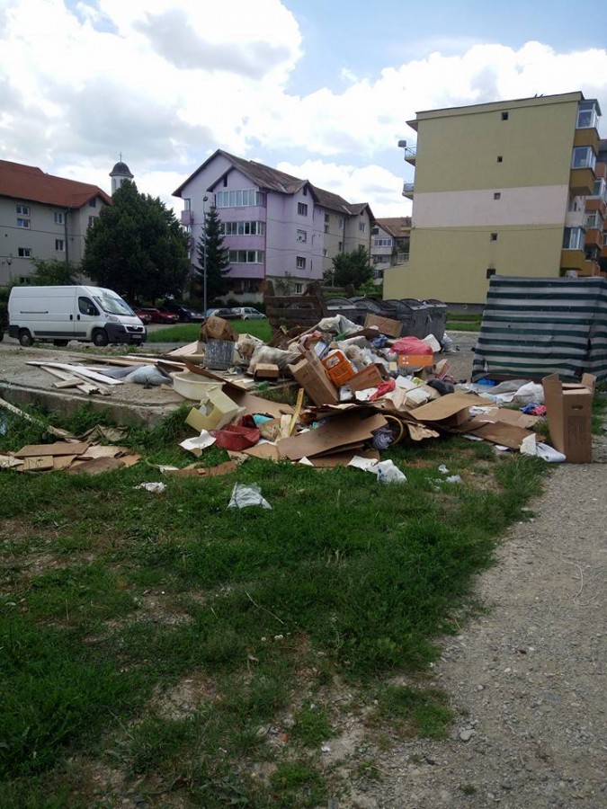 Cartierele Sibiului, îngropate în gunoaie