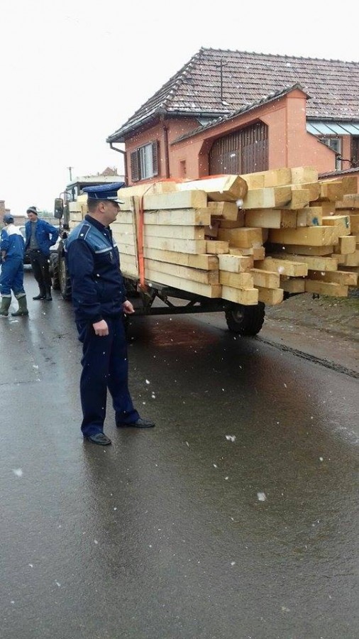 Scutul pădurii. Un tânăr de 19 ani transporta ilegal cherestea