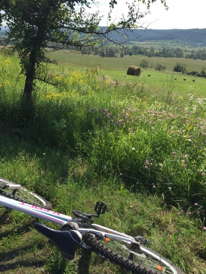 Cască ochii și ferește-te de câini. Experiența unei ture pe Valea Hârtibaciului