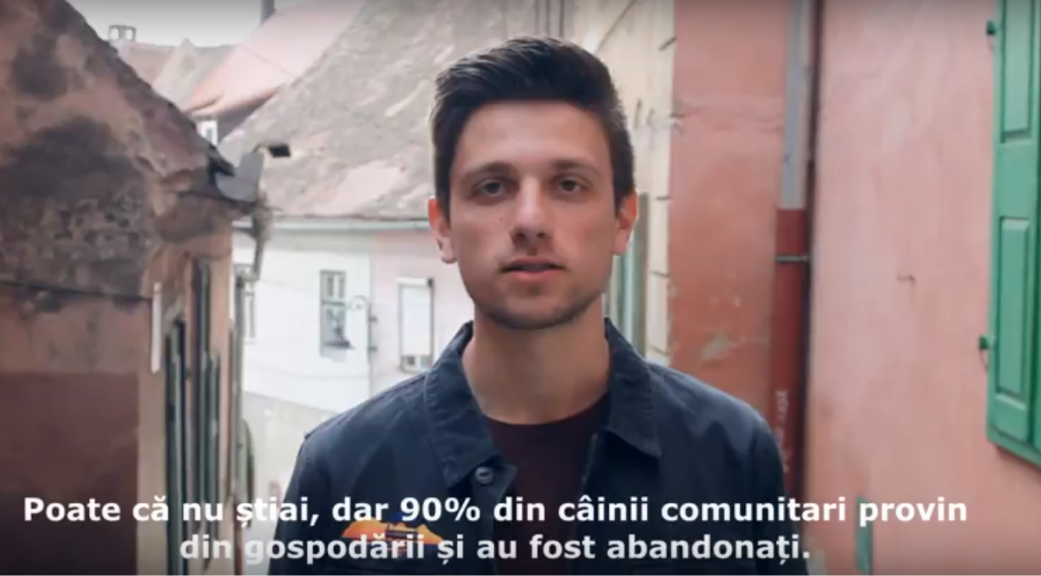 VIDEO: Studenții de la marketing susțin campania de sterilizări Animal Life