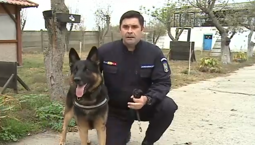 Bătrân rătăcit de două zile, găsit de un câine antrenat la Centrul Chinologic Sibiu