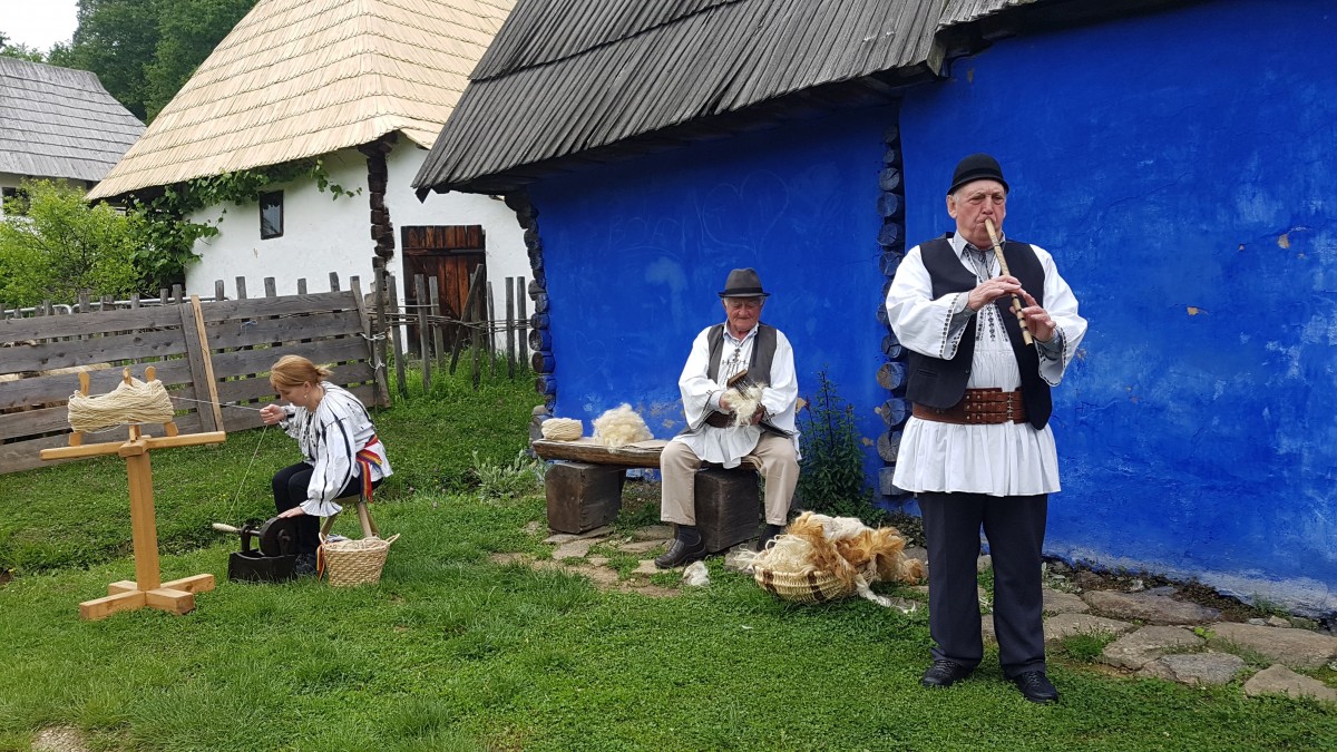 Foto-Video Turiștii au participat la tunsul oilor, în muzeu. „În Germania e diferit”