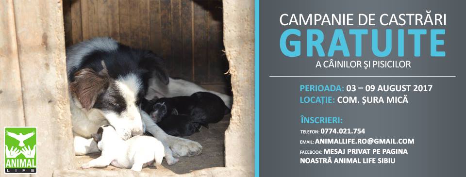 Animal Life organizează o campanie de castrări gratuite pentru câini şi pisici