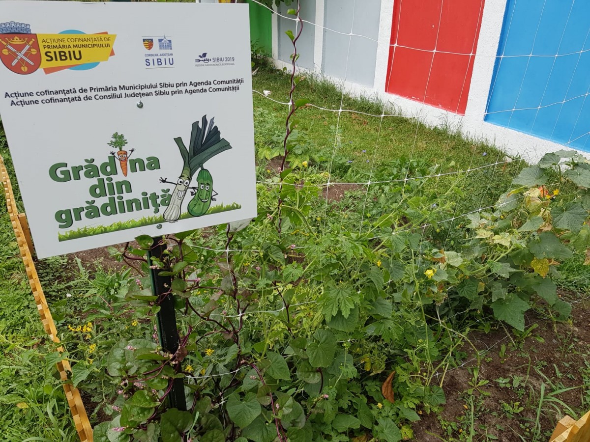 Micii grădinari sunt așteptați să vină din vacanță. ”Grădina din grădiniță”