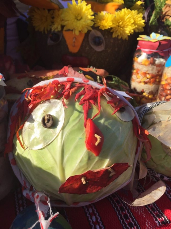Festivalul Verzei la Moșna: se poartă eco FOTO VIDEO