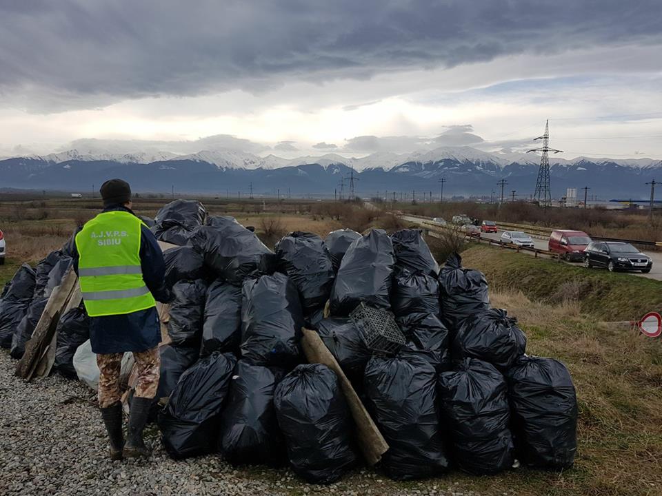 Acțiuni de ecologizare. Curățenie pe malurile Oltului și în Parcul Subarini