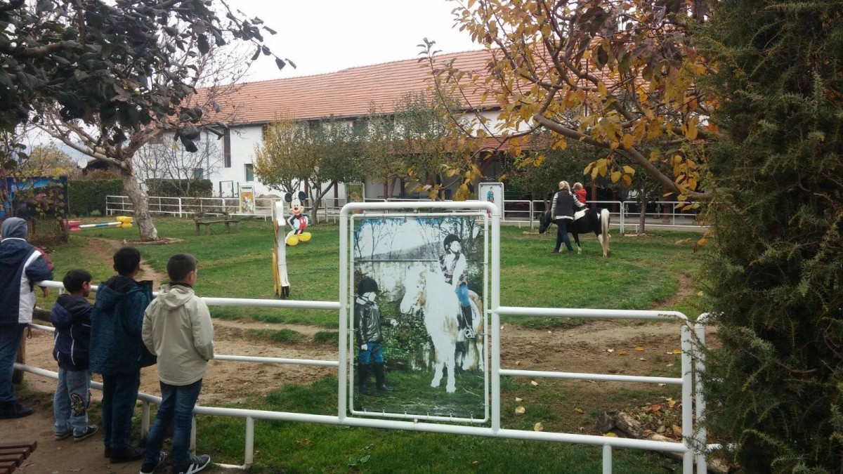 Weekend plin pentru copiii din centrele de plasament. Vizite la Zoo și la teatru 