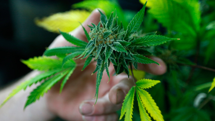 Grecia a legalizat consumul de marijuana. În scop medicinal, evident