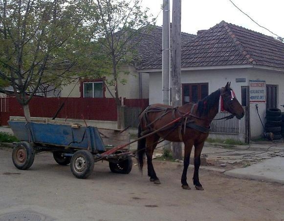 A ajuns in arest pentru ca a oprit un om pe strada si i-a furat calul