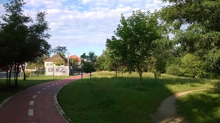 Protest împotriva amenajării noului skatepark în Parcul Sub Arini