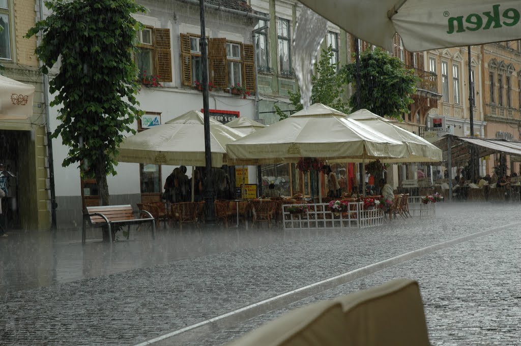Cod galben de ploi în județul Sibiu