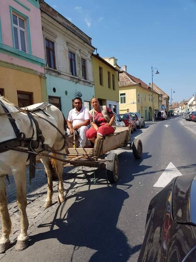 Sibiu, sat frumos. Centru istoric, căruță, sens interzis... FOTO