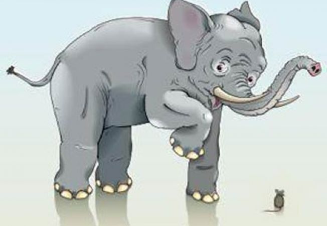 BANCUL ZILEI: Elefantul la graniţă
