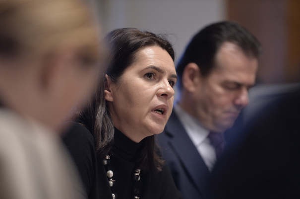 Adriana Săftoiu. ”PSD va câştiga alegerile europarlamentare”