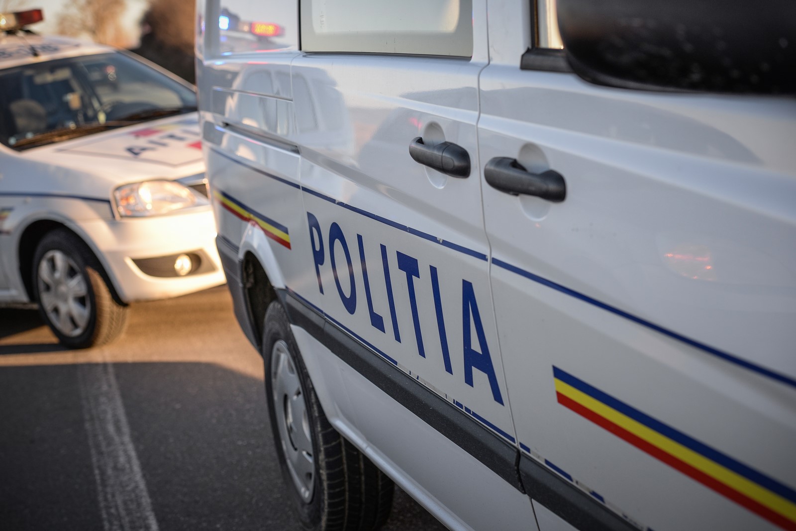 Un jinar a furat de la un poienar
