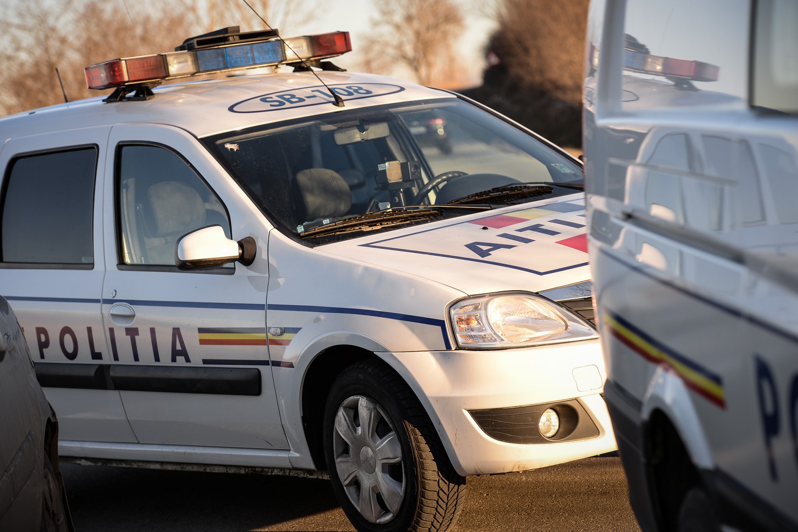 Frații 