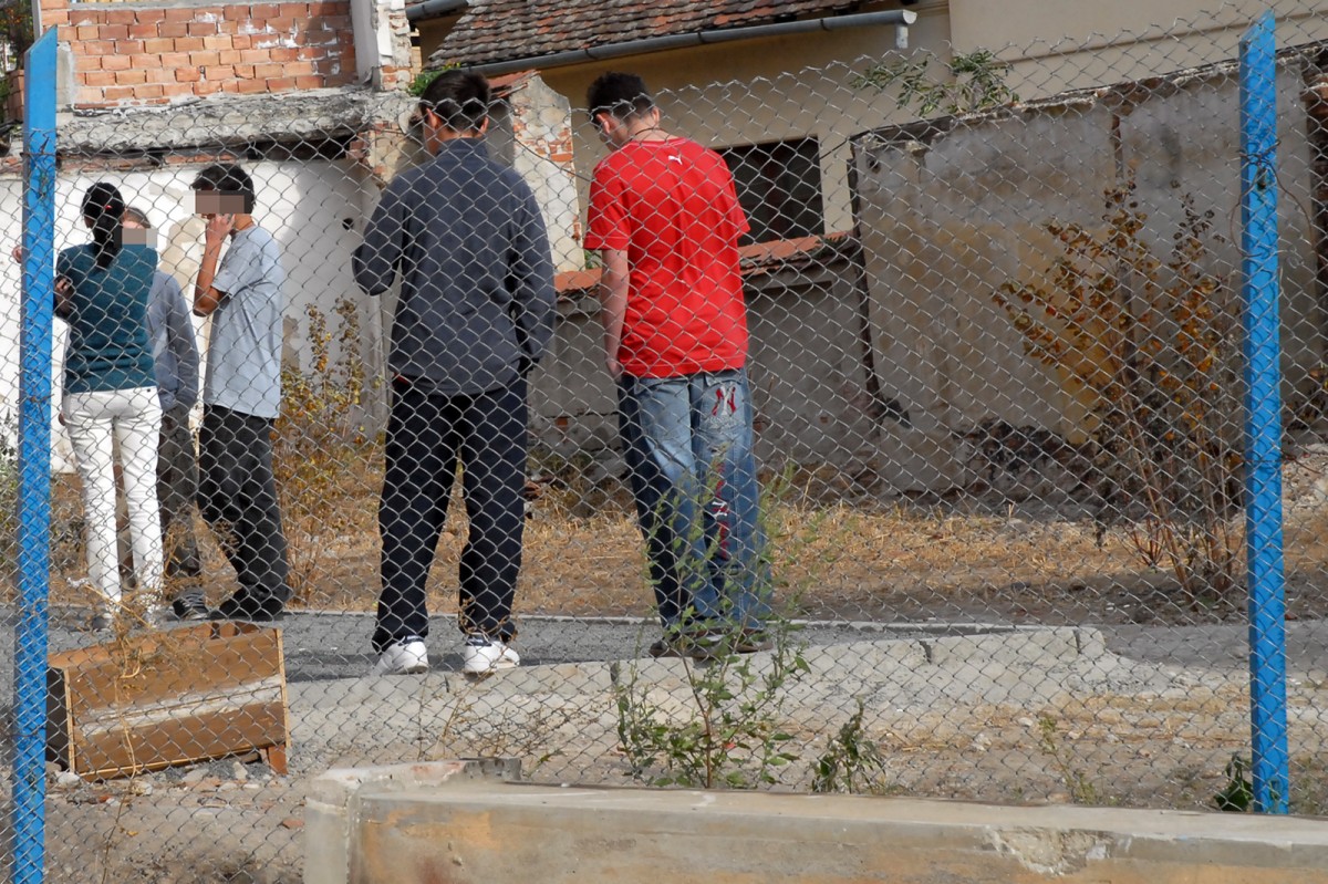 Adolescenții sibieni încep să se drogheze de la 12 ani. Preferă etnobotanicele