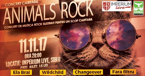 Eveniment caritabil: Concert rock pentru pisicile abandonate