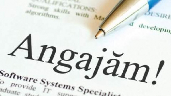 Sibiul e pe locul doi în România la numărul de locuri de muncă vacante