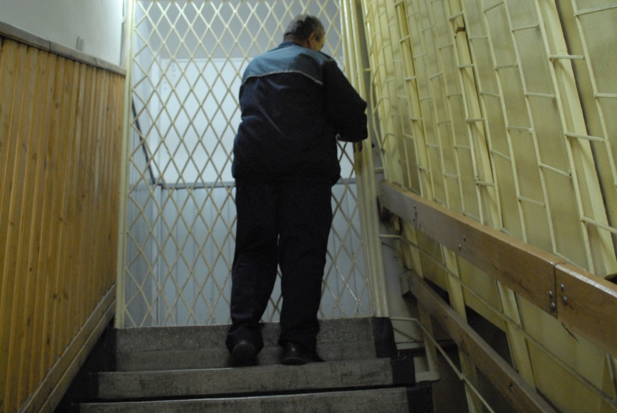 Sibian condamnat la 20 de luni de pușcărie pentru că a tăiat 140 de copaci
