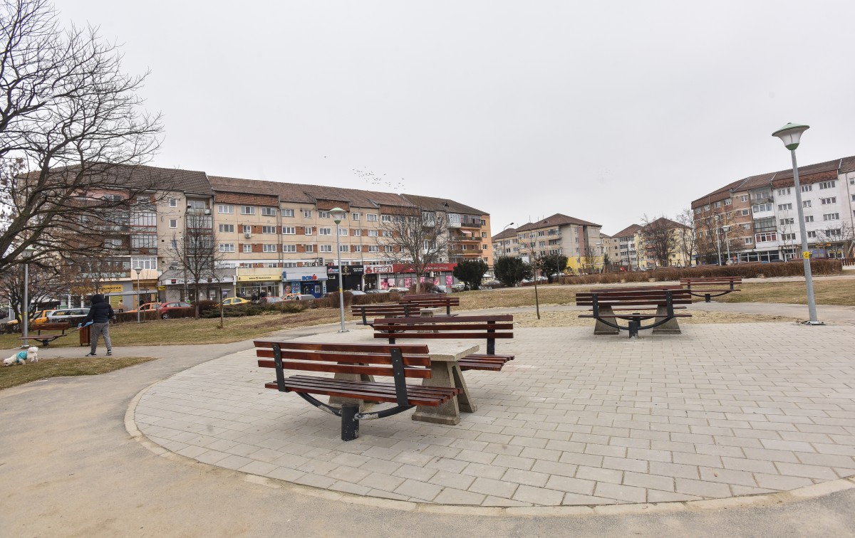 Sibienii distrug și murdăresc peste 90.000 de euro pe an