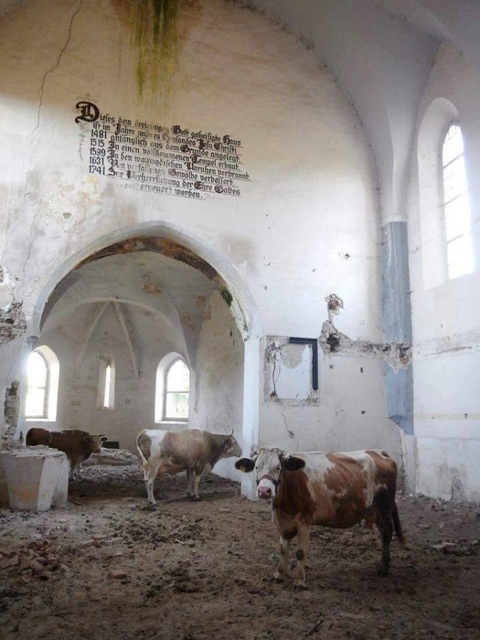 Dumnezeu a plecat din Biserica din Dobârca. Au venit vacile