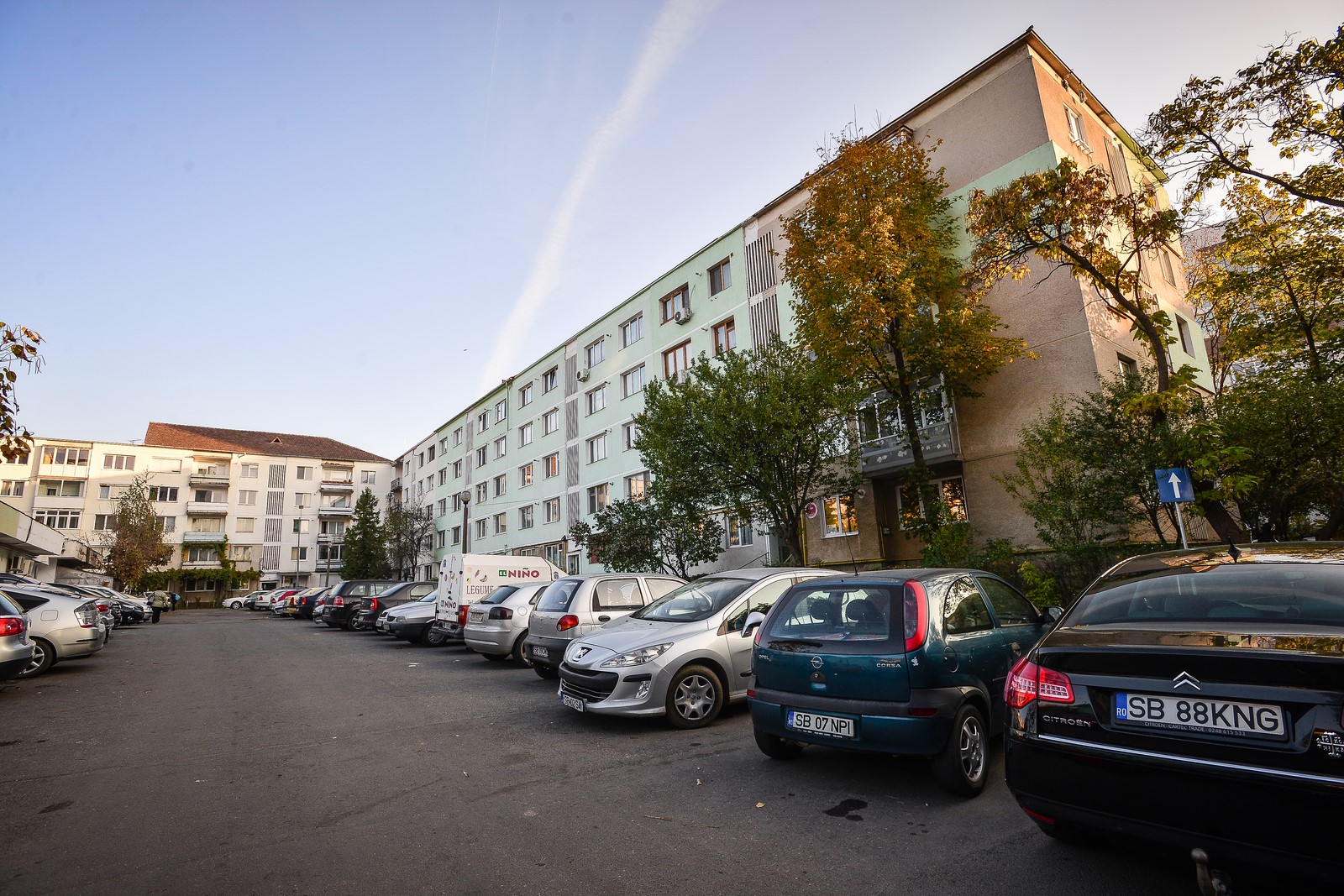 Vreți un Sibiu mai verde? Cereți gard viu Primăriei!