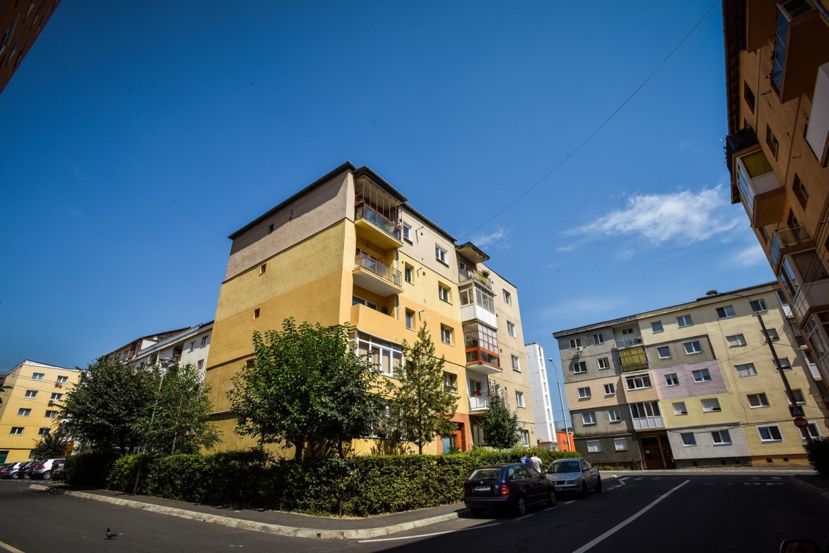 Primăria: jumătate din gardul viu plantat în primăvara aceasta în Sibiu a fost plantat de sibieni