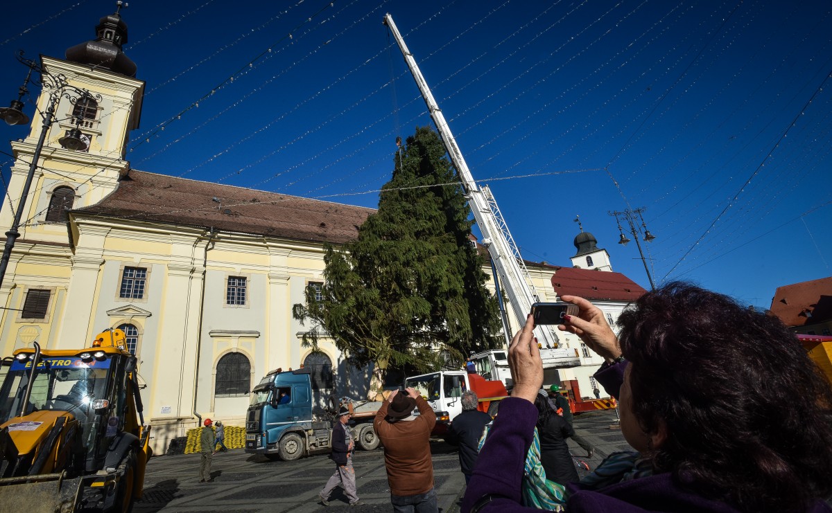 Marș cu atmosferă: protestatarii vor putea înconjura bradul de Crăciun