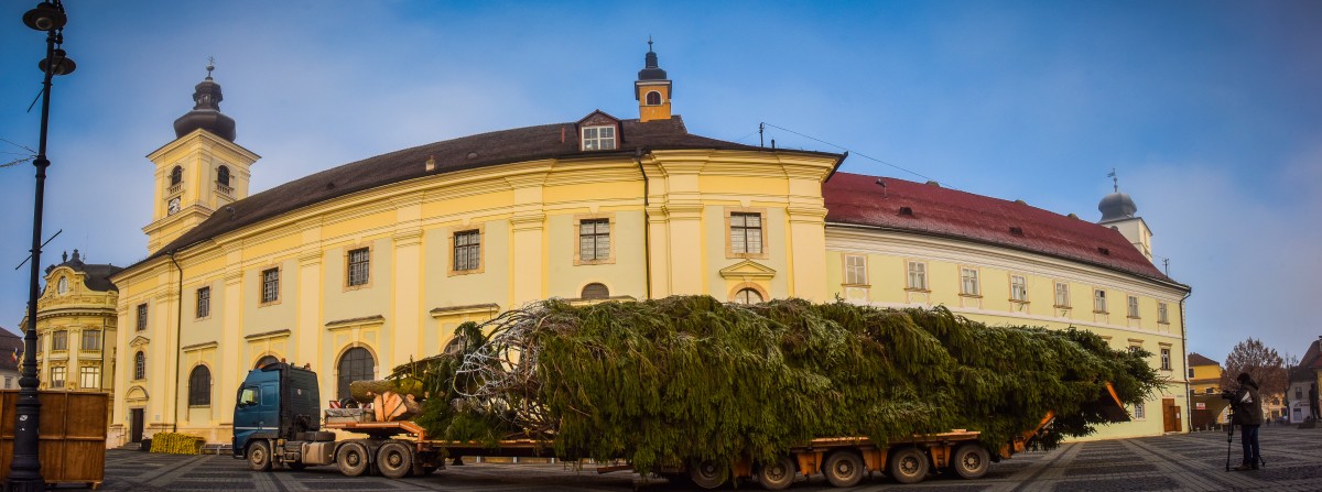 Bradul de Crăciun a fost adus în Piața Mare