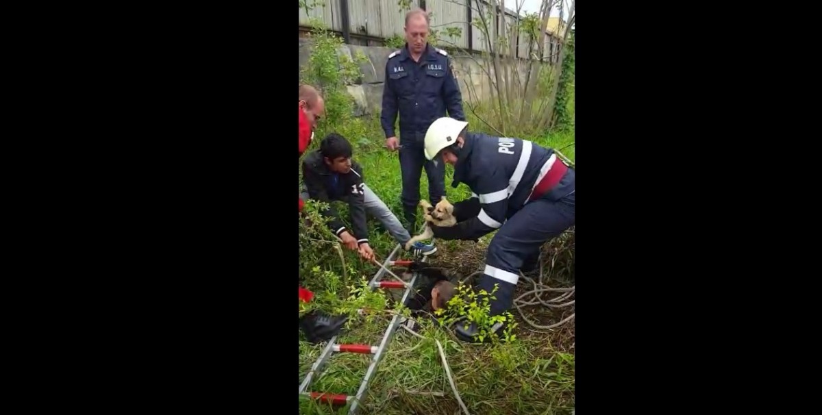 Foto Video | Pompierii au salvat un câine căzut într-un canal adânc de 17 m