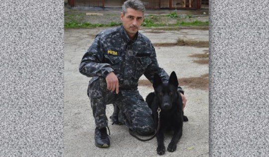 Un câine antrenat la Sibiu a salvat viața unei femei de 74 de ani. Poliția Română l-a premiat