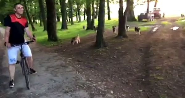 VIDEO - Trasee de cicloturism dotate cu câini de stână. ”E cea mai mare reclamă negativă pentru Sibiu”