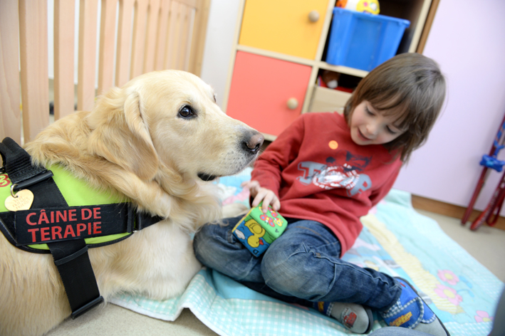 Aksel, câinele care a adus zeci de copii cu autism la lumină, este în stare gravă