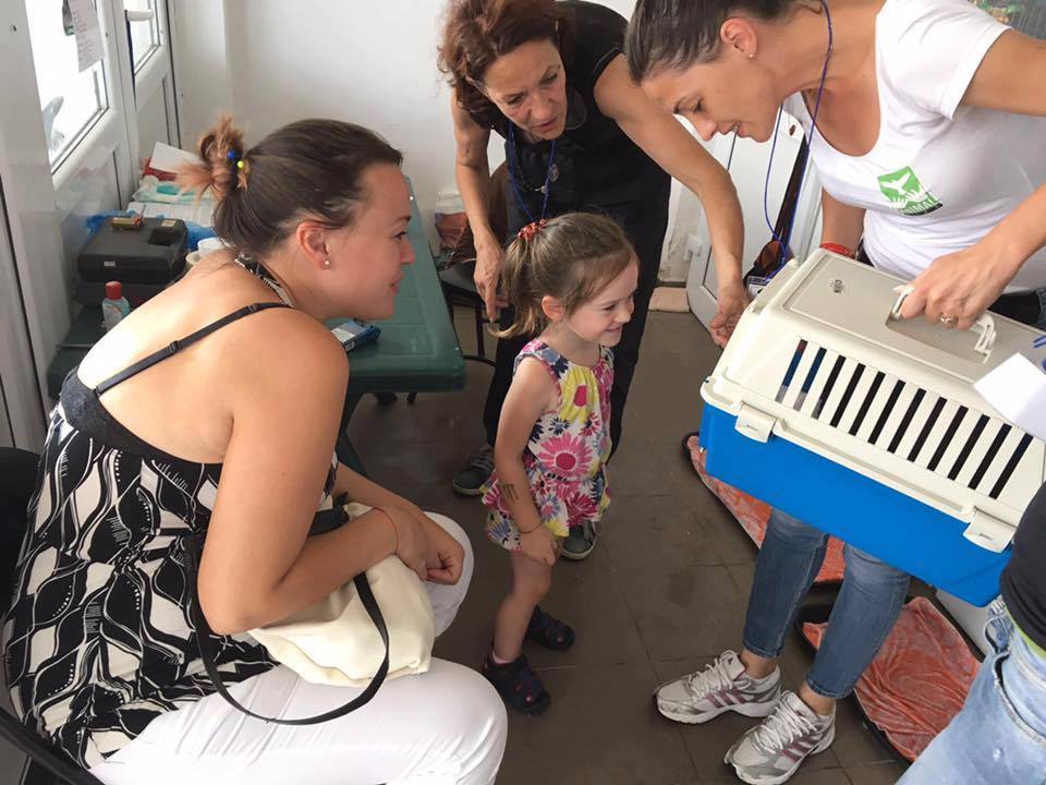 Proiectele maratonului. (12) Campanie gratuită de sterilizare a câinilor și pisicilor