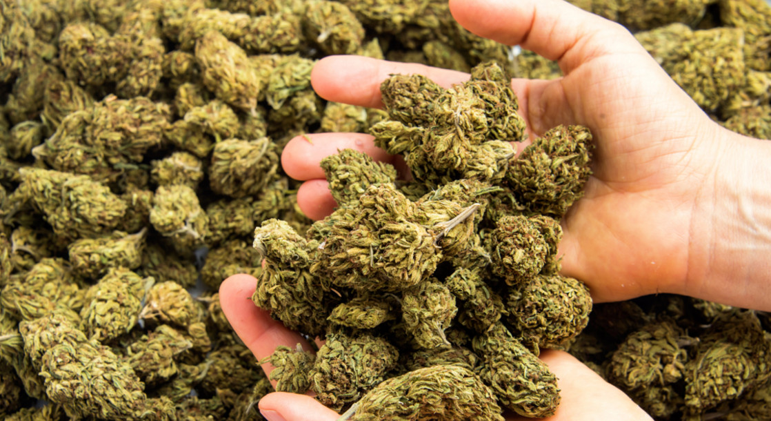 Poliţia din Germania propune legalizarea marijuanei