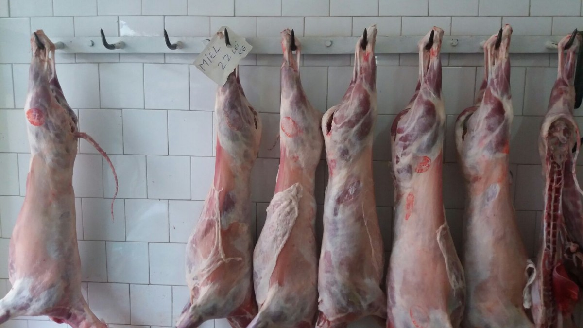 Carne de oaie infectată cu E Coli la Sibiu. DSVSA: Populația nu a fost pusă în pericol