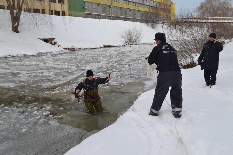 Sibiul sub cod portocaliu de ger: pompierii au salvat două rațe sălbatice din gheața Cibinului | Foto
