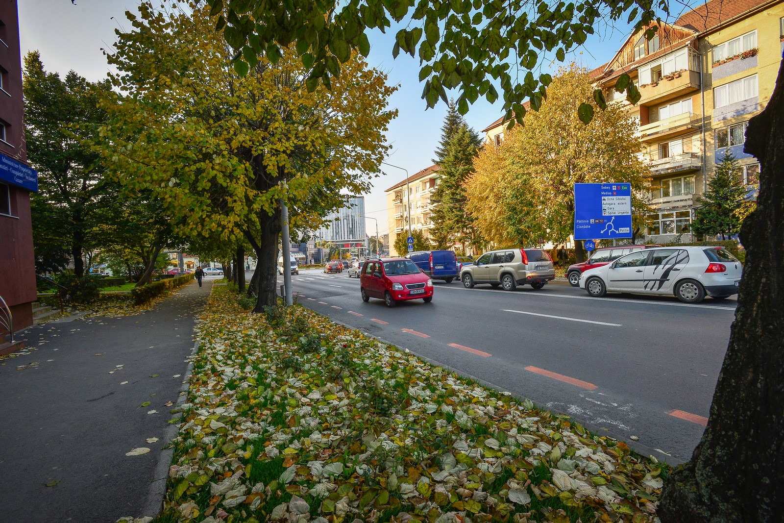 Petiție către Primăria Sibiu: bulevardul Vasile Milea să se numească Regele Mihai I